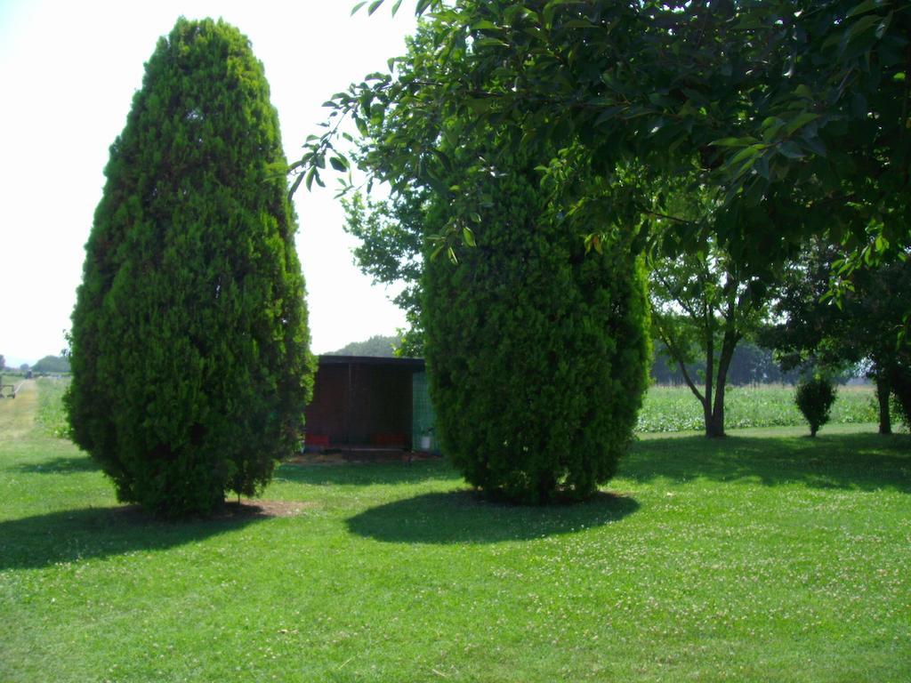 B&B Santa Rita Modena Exterior photo